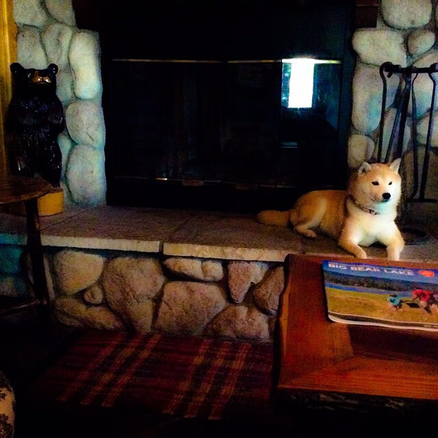 CBA球迷文化节开幕 推动篮球氛围建设，cba篮球宣传语