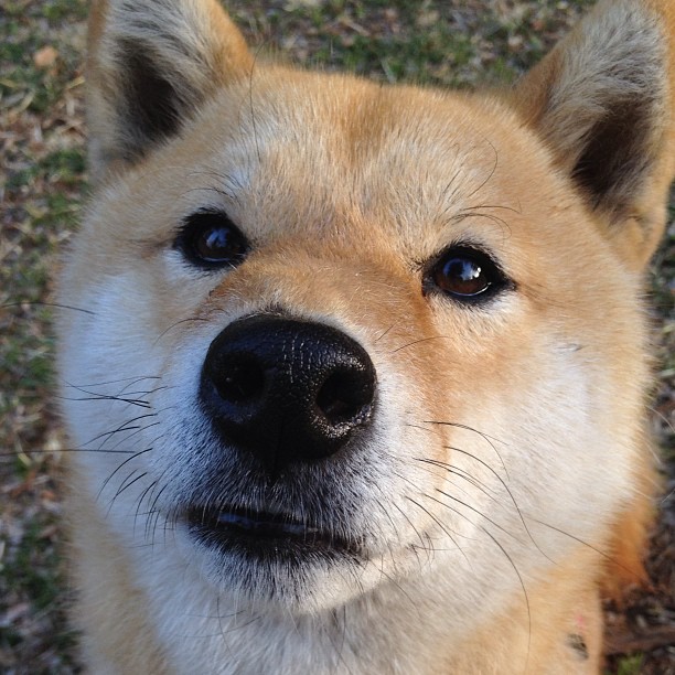 “2025世界运动会：沙滩手球点燃天府新区激情”