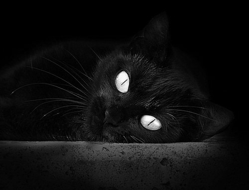 “新都兴城垒球：精彩瞬间不断，比赛白热化”